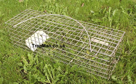 standard mink trap